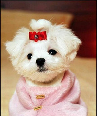 �ֺ�30��� �����Լ����� �����Լ����õ�MM