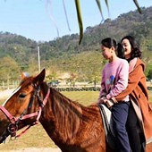 ���ݾ�Ȼ�����������