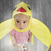 ��wanghongС����