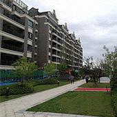 �������󰶽���̽��