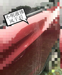 ���ģ�����ͣ��С����Ӷ��������ֲ�����ɫҺ�� ��������...