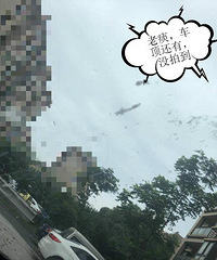 ���ģ�����ͣ��С����Ӷ��������ֲ�����ɫҺ�� ��������...