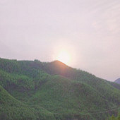 ���ڱ���ʥ���������