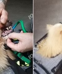 14��Ĺ���ʹ��� ����ÿ���á�ר������