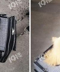 ÿ���á�ר�����޹� ֻ�����߲���·