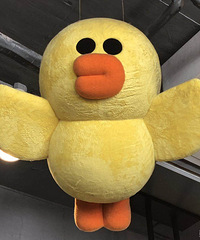 �Ͼ�wanghong�����Σ�һ��Ҫȥ��ɪ�չ㳡 �����ͱر�