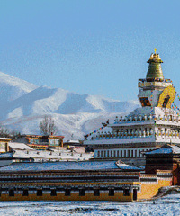 �����ĩ��ȥ�Ķ����ˣ��������������Ƭ �����к����