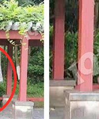 ������ͼ��ݸ����ϵ� Ƿ�����ծ�����