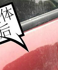 ���죡��ͣС��ƵƵ�������� �ܺ��»�...