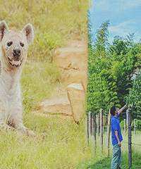 ��֮�γ�ֵ�ײ���ɱ ����¹�ȷ���