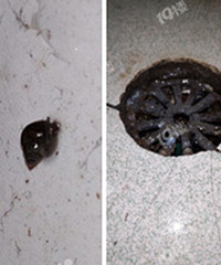 ������ˮ�ھ�����С����