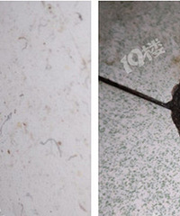 ������ˮ�ھ�����С���ϣ���ƽʱ�Ե����֡�