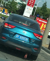 ������ŵ�ֵ̫�� ���ܵ�ȫ��������˵�...