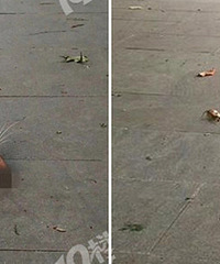 ������԰����Ѫ���ܵ�èͷ����˭�ɵģ�