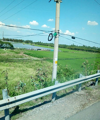 96��GG ����ʵ���ҹ��� �����ѹ� ���ô���