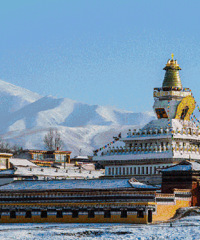 �������������ƭ����������з�