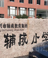 嘉兴阳光小学和辅成小学差距大吗?网友:大!非常大!