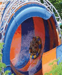 ���˸����ش򿨵İ˴�ˮ��԰�󼯺ϣ�