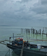 ˵�߾��ߵ����� ��������