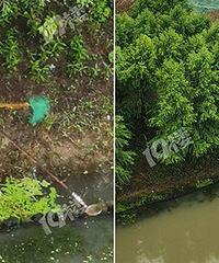 ��ˮ·һ����ȫ����װ�ڸ㡰�紥�㡱