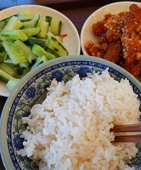 【夏日种草推荐】我们家食堂一份只要8块 什么菜都有