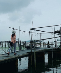 7�µķ紵���� Ϊ����ɱ���