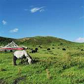 ��ԭ�ϵ�ţ���ַ���׳