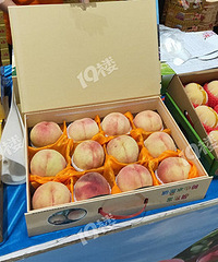 320һ�е������������