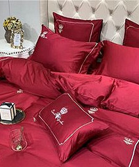 800��ĳ��������2�׽��촲��