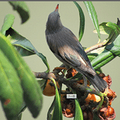 ������˿�����