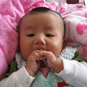 ��ν����������