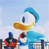 ��Ѽ����ĩȥ������Ѽ