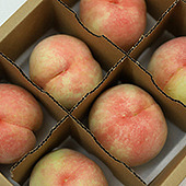 15���������ĺó�