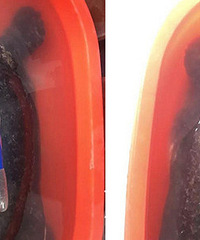 ���˾���53��Ұ������ 5��鶼������