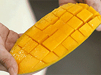 ���ո���������С��ū��������â��