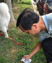 一些人真爱管闲事!狗拉屎拉在树下面 老太要我把狗屎捡了