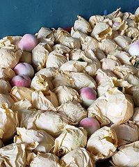 2.5һ������Ӷѳ�ɽ������