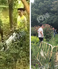 ����ĳ������̧������ ��˵�ǡ�