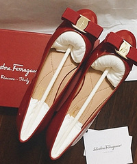 ��Ѫ������Ĵ��ƻ�Ь