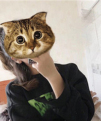 94����ϵС��� �������� ����10��+