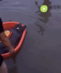 �ޣ�������ʮ��������ػش���Ȼ