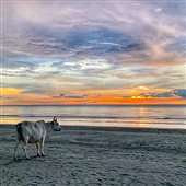 �����������̫���ˣ�