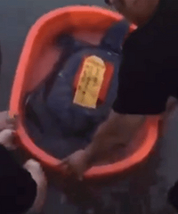 ������ʮ����㱻����