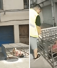 Σ�գ����������䵼�¼���һŮ��׹¥