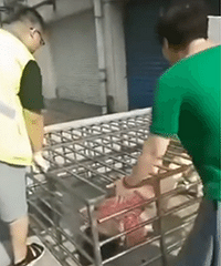 Σ�գ����������䵼�¼���һŮ��׹¥