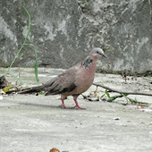 �Է����Լ�Ҫ��������