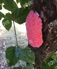 ���˾��ָ����� �����Ҳ��˽�