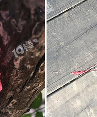 ���˾��ָ����� �����Ҳ���һ��