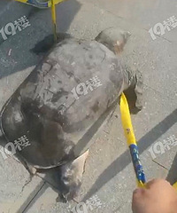 �����˵�53���������