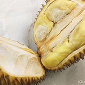 ǿ�Ƴ�Ŵ�Ľ�������